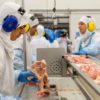 China aplicÃ³ derechos antidumping a la carne aviar brasileÃ±a para forzar un acuerdo de precios mÃ­nimos con el sector privado