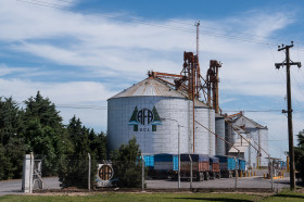 Corredores de granos denuncian que la ventaja oficial concedida a AFA en trigo â€œviola las normas mÃ¡s elementales de competenciaâ€
