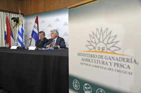 Chau Mercosur: Uruguay no descarta recurrir a la OMC para denunciar el bloqueo comercial a la leche en polvo aplicado por Brasil