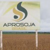 El Instituto Nacional de Propiedad Industrial de Brasil reconociÃ³ la nulidad de la patente de la soja Intacta de Monsanto