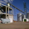 El gobierno evalÃºa elevar el corte de etanol con nafta al 10% para doble propÃ³sito: desarrollar el polo maicero y aliviar la crisis azucarera