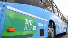 Ajustaron el precio del biodiesel destinado al corte interno: es un 38% mÃ¡s barato que el gasoil comÃºn
