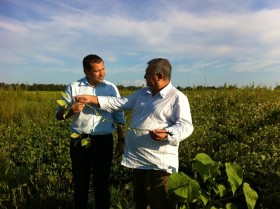 Los productores brasileÃ±os ya vendieron casi la mitad de la cosecha esperada de soja 2012/13 (los argentinos casi nada)