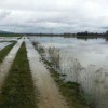 Alerta caminos rurales: se vienen dos dÃ­as de precipitaciones intensas en el norte de la zona pampeana