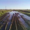 Alerta caminos rurales: la mayor parte de la semana se proyectan lluvias sobre las principales regiones productivas