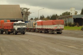 ComenzÃ³ a restringirse la comercializaciÃ³n de granos por el paro: ingresaron mÃ¡s de 1000 camiones a las terminales portuarias santafesinas