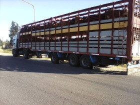 Consulta pÃºblica: autoridades del Senasa quieren incrementar las exigencias para transportar animales vivos