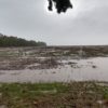 MaÃ±ana se cortan las sÃºper lluvias en la zona pampeana: pero regresan el domingo