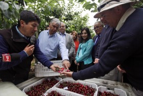 Chupate esa mandarina: Chile genera mÃ¡s divisas con las frutas que Argentina con el maÃ­z