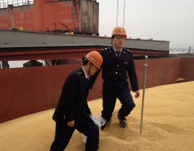 El USDA advierte que â€œlas exportaciones de soja estadounidense a China continÃºan registrando dificultadesâ€