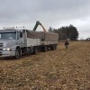 Nuevo recorte de la producciÃ³n estimada de soja argentina: la sequÃ­a del verano finalmente llegÃ³ a la economÃ­a cotidiana