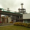Se recuperaron las exportaciones argentinas de biodiesel: volviÃ³ a ser mÃ¡s conveniente que vender aceite de soja