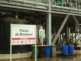 Llamado de emergencia: en cosecha los precios locales de la soja podrÃ­an comenzar a reflejar la situaciÃ³n calamitosa de la industria del biodiesel