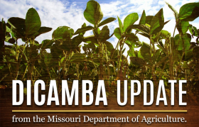 Missouri prohibiÃ³ el uso de dicamba durante el perÃ­odo de siembra de soja 2018 para â€œresguardar a la agriculturaâ€