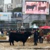 Covid-19: se suspendiÃ³ la Expo Rural de Palermo
