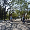 La Facultad de AgronomÃ­a de la UBA lidera el ranking de pÃ©rdida de alumnos