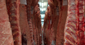 Casi doce aÃ±os despuÃ©s de implementado dieron de baja el ROE Rojo: frigorÃ­ficos ya no deberÃ¡n pedir permiso para exportar carne