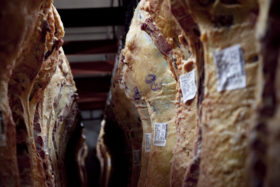 PrimarizaciÃ³n: el valor promedio de las exportaciones argentinas de carne vacuna retrocediÃ³ al nivel presente en 2009