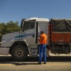 Una barrera mÃ¡s contra el HLB: Senasa prepara una medida para impedir el ingreso al NOA de cÃ­tricos a granel
