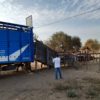 Los camiones de transporte de hacienda pueden comenzar a llevar cargas alternativas: la medida rige hasta la finalizaciÃ³n de la emergencia sanitaria