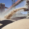 HistÃ³rico: Argentina podrÃ¡ comenzar a exportar harina de soja a China