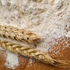 El mercado le ganÃ³ a la intervenciÃ³n: por la escasez crÃ­tica de trigo duro ya se pueden vender partidas premium sin retenciones