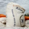 Segunda seÃ±al del incendio: industriales farinÃ¡ceos brasileÃ±os evalÃºan importar harina de trigo de TurquÃ­a