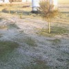 Se registrÃ³ una fuerte helada en la zona nÃºcleo cerealera: lotes tempranos de trigo y cebada en riesgo productivo