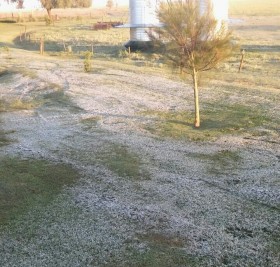 Se registrÃ³ una fuerte helada en la zona nÃºcleo cerealera: lotes tempranos de trigo y cebada en riesgo productivo