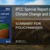 Importante para la ganaderÃ­a del Mercosur: IPCC reconoce que â€œlas oportunidades para el secuestro de carbono en pasturas pueden ser significativasâ€
