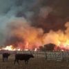 Declararon la emergencia agropecuaria por incendios en La Pampa y Mendoza