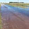 QuÃ© vuelva la alfalfa: investigador del Conicet asegura que la agricultura continua es responsable de las inundaciones recurrentes