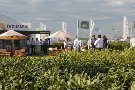 Libertad de elecciÃ³n: catorce de las quince variedades de soja inscriptas en lo que va del aÃ±o tienen el evento Intacta de Monsanto