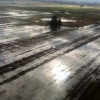 Argentina perdiÃ³ 1500 M/u$s por el cambio climÃ¡tico: al menos cuatro millones de toneladas de soja fueron liquidadas por tres semanas de lluvias torrenciales
