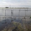 Se vienen cuatro dÃ­as de lluvias intensas que podrÃ­an causar inundaciones en algunos sectores de la zona pampeana