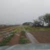 Alivio: llegÃ³ la segunda tanda de lluvias en zonas productivas necesitadas de agua