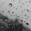 Esta semana la mayor probabilidad de precipitaciones se concentrarÃ¡ en el NEA