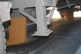 Se repite la historia del trigo con otro cereal: el mercado estÃ¡ a punto de eliminar las retenciones en maÃ­z por la escasez de oferta 