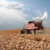 Se busca maÃ­z de manera urgente: la retenciÃ³n efectiva del cereal en Necochea no supera el 10%