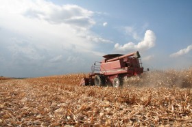 Se busca maÃ­z de manera urgente: la retenciÃ³n efectiva del cereal en Necochea no supera el 10%