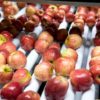 El gobierno argentino logrÃ³ levantar la suspensiÃ³n del ingreso de peras y manzanas al mercado brasileÃ±o