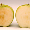 BiotecnologÃ­a: EE.UU. aprobÃ³ la producciÃ³n de dos variedades de manzanas modificadas que no se oxidan al cortarse