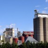 Las exportaciones argentinas de harina de trigo crecieron mÃ¡s de un 20% en el primer mes del aÃ±o a pesar de no contar mÃ¡s con el subsidio pagado por productores