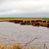 Esta semana se prevÃ©n acumulados de precipitaciones de hasta 90 milÃ­metros en la Cuenca del Salado