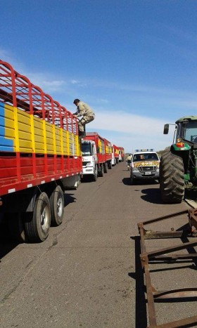 Cuarto dÃ­a del paro agropecuario con cumplimiento parcial: ingresaron casi 1300 camiones a la terminales santafesinas