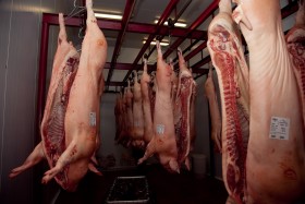 Argentina sueÃ±a con morderle un poco del negocio a Brasil: en 2017 logrÃ³ colocar casi 1800 toneladas de carne porcina en Rusia