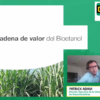 Â¿DÃ³nde estÃ¡n localizadas las doce nuevas plantas de etanol programadas en caso de que se extienda el rÃ©gimen de promociÃ³n de biocombustibles?