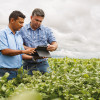 Los productores que vendieron soja en mayo pudieron obtener un ingreso adicional de hasta 1400 $/ha gracias al empleo de la tecnologÃ­a comercial
