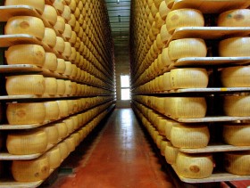 En lo que va del aÃ±o la exportaciÃ³n argentina de quesos duros creciÃ³ 35% por mayores ventas a EE.UU. y Rusia