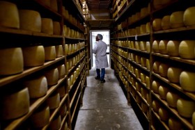 El stock de quesos duros se redujo a un mÃ­nimo histÃ³rico: los precios ya estÃ¡n para guardar el producto en cajas fuertes